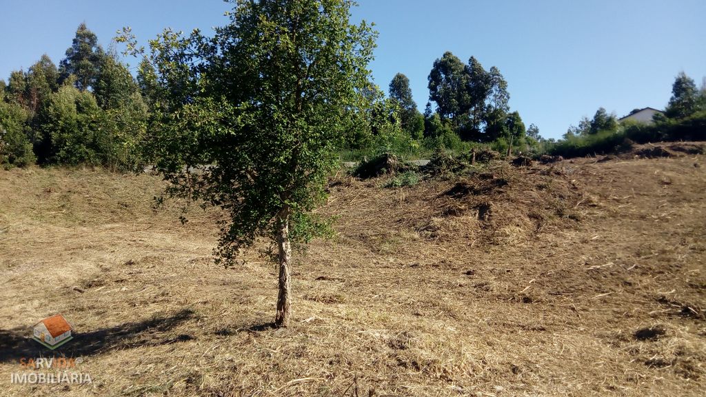 Terreno p/ moradia STST