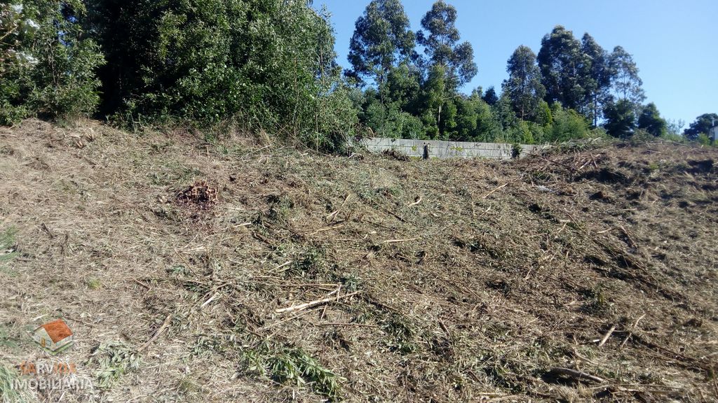 Terreno p/ moradia STST