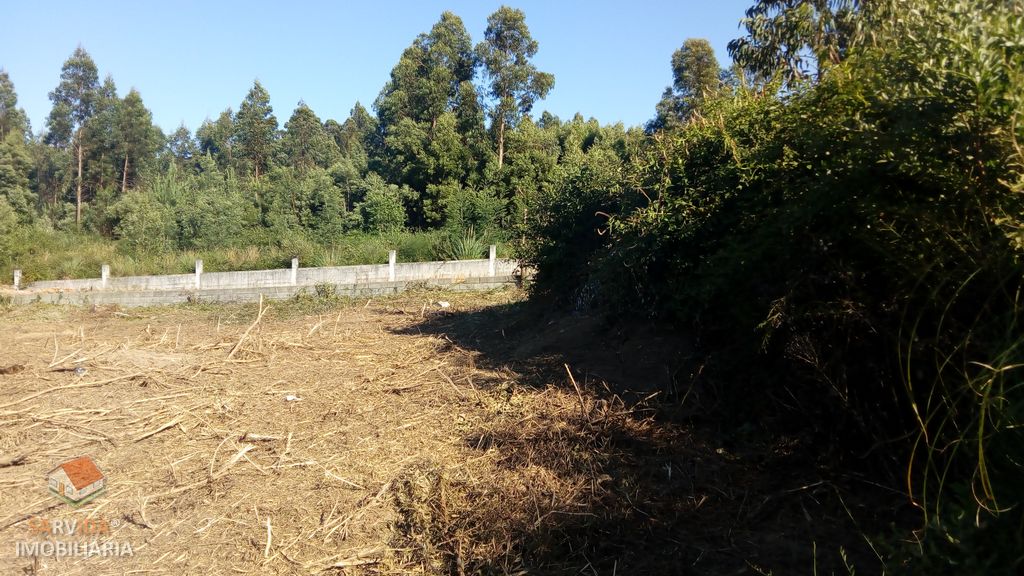 Terreno p/ moradia STST